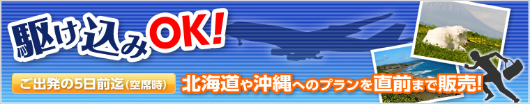 ビジネスパック飛行機！ ご出発の7日迄（空席時）北海道や沖縄へのプランを直前まで販売！