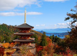 京都旅行,京都ツアー,天橋立格安旅行,天橋立格安ツアーは格安ツアーは格安ツアーのエールツアー