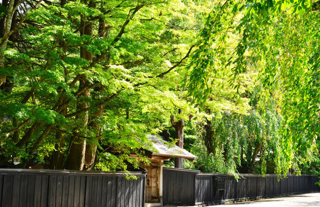 旅行豆知識、旅行雑学、みちのくの小京都・角館